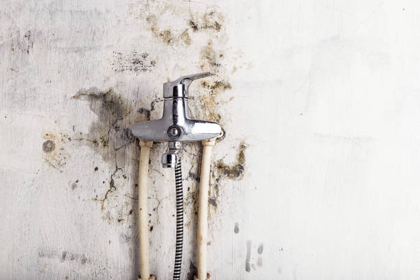 Office Mold Removal Services in One Loudoun, VA