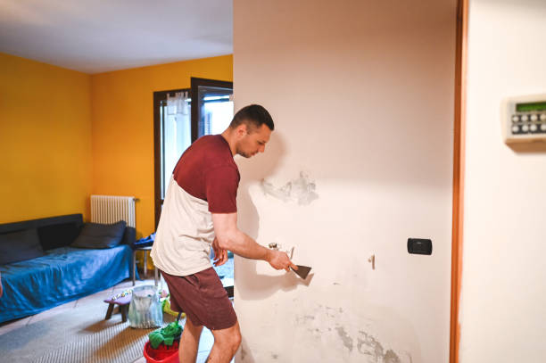 Best Residential Mold Removal  in One Loudoun, VA